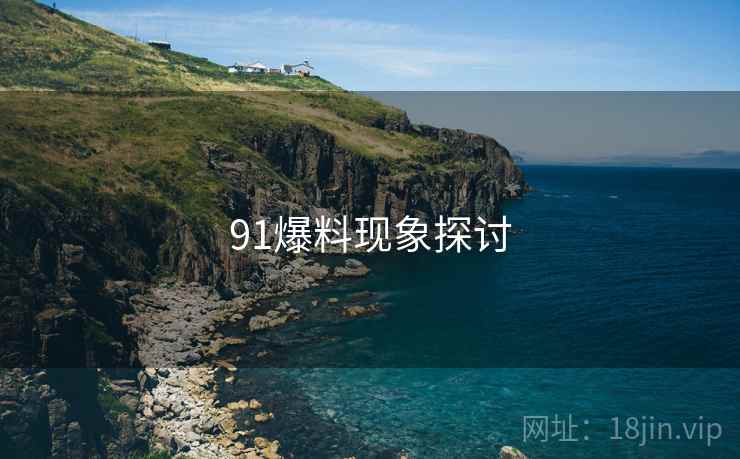 91爆料现象探讨  第2张