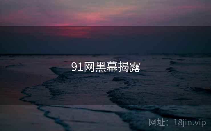 91网黑幕揭露  第2张