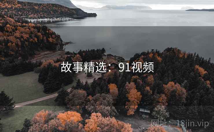 故事精选：91视频  第2张
